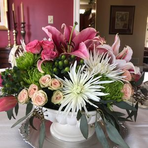 Meet your Posher, Tracy